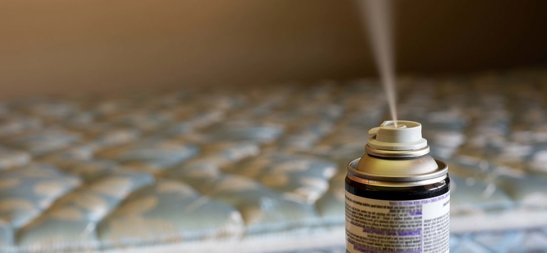 fumigène punaise de lit 