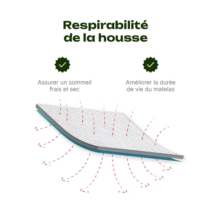 housse de matelas anti punaise de lit