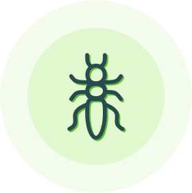 produits contre les fourmis