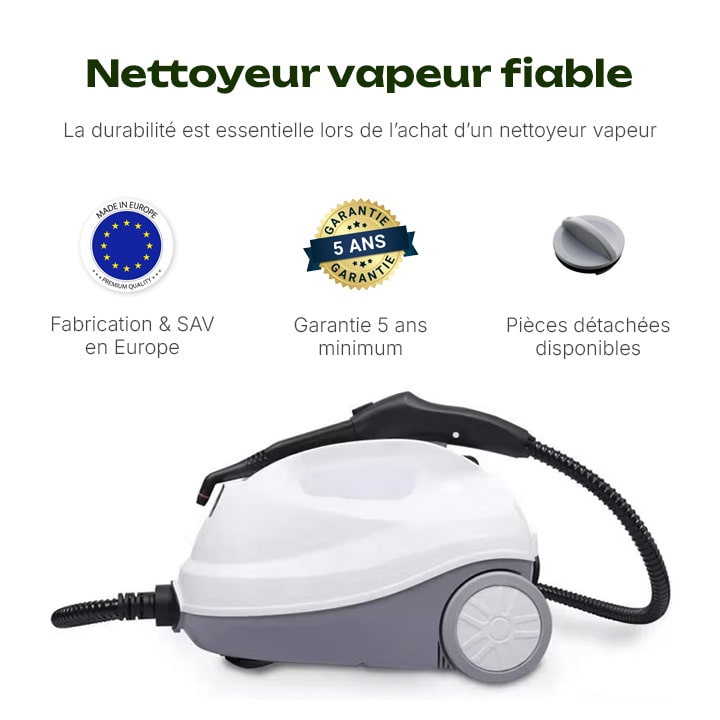 nettoyeur vapeur punaise de lit avis