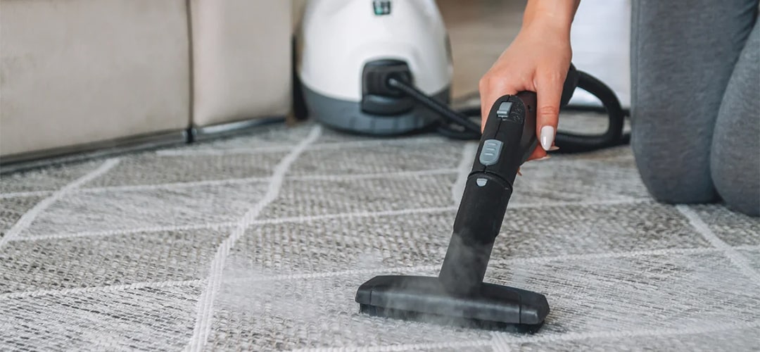 nettoyeur vapeur punaise de lit