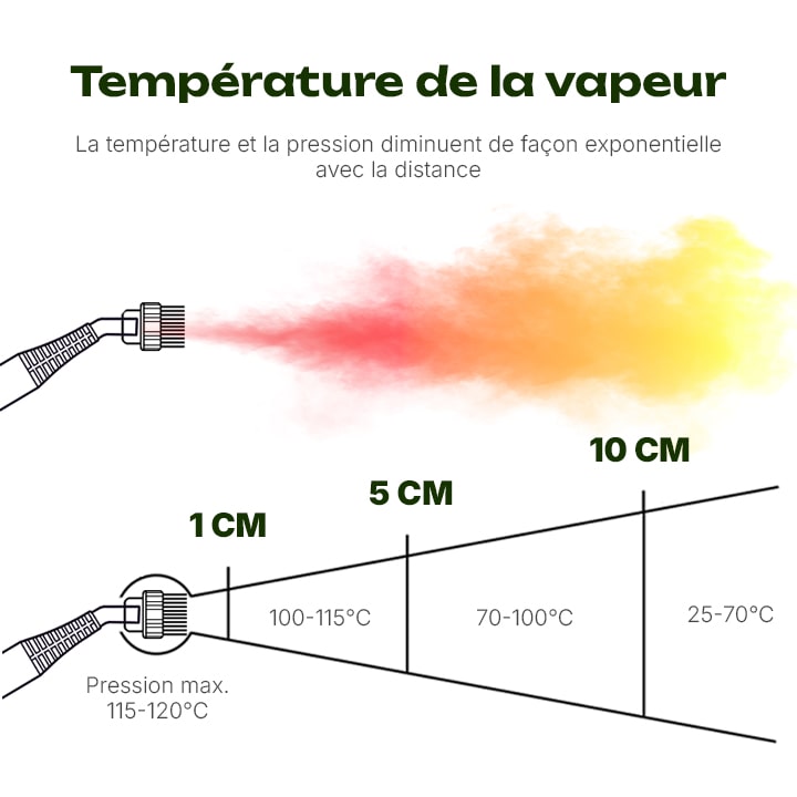 nettoyeur vapeur sèche punaise de lit