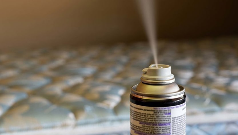 produit pour tuer les punaises de lit