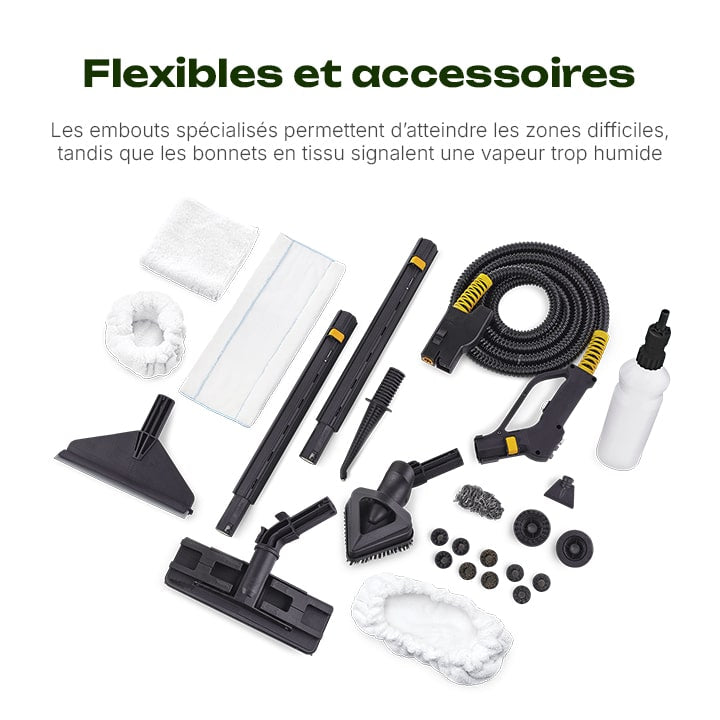 punaise de lit nettoyeur vapeur