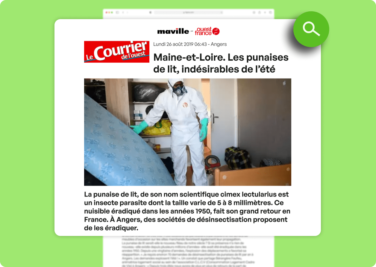punaise de lit paris