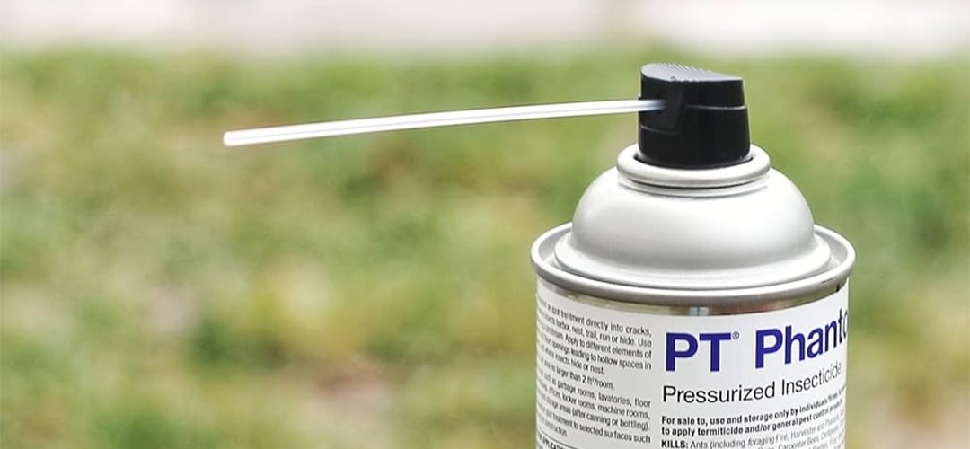 spray terre de diatomée punaise de lit