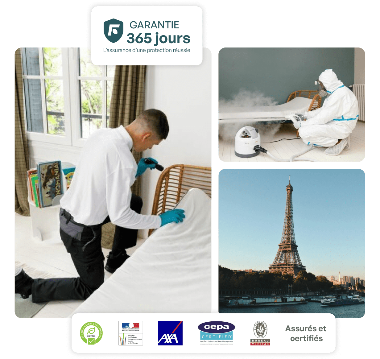 traitement punaise de lit paris
